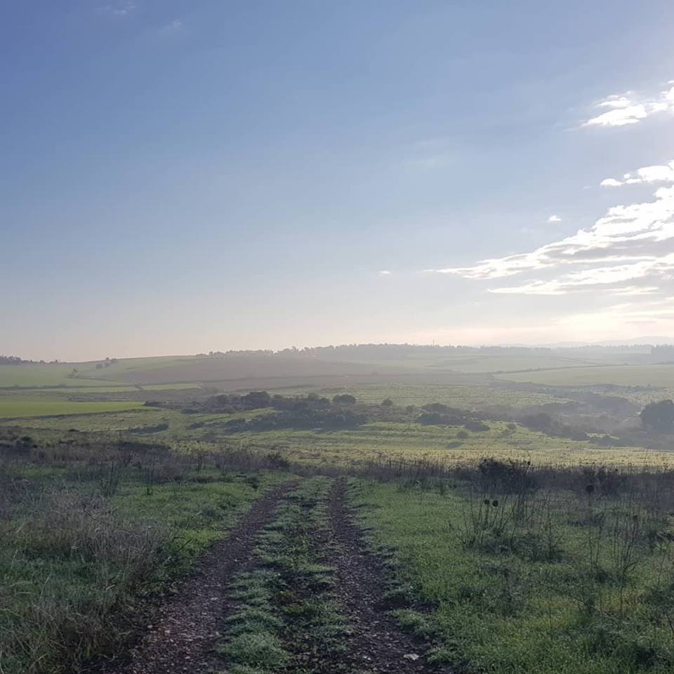 48379405_10213961383174714_7055927588476157952_n