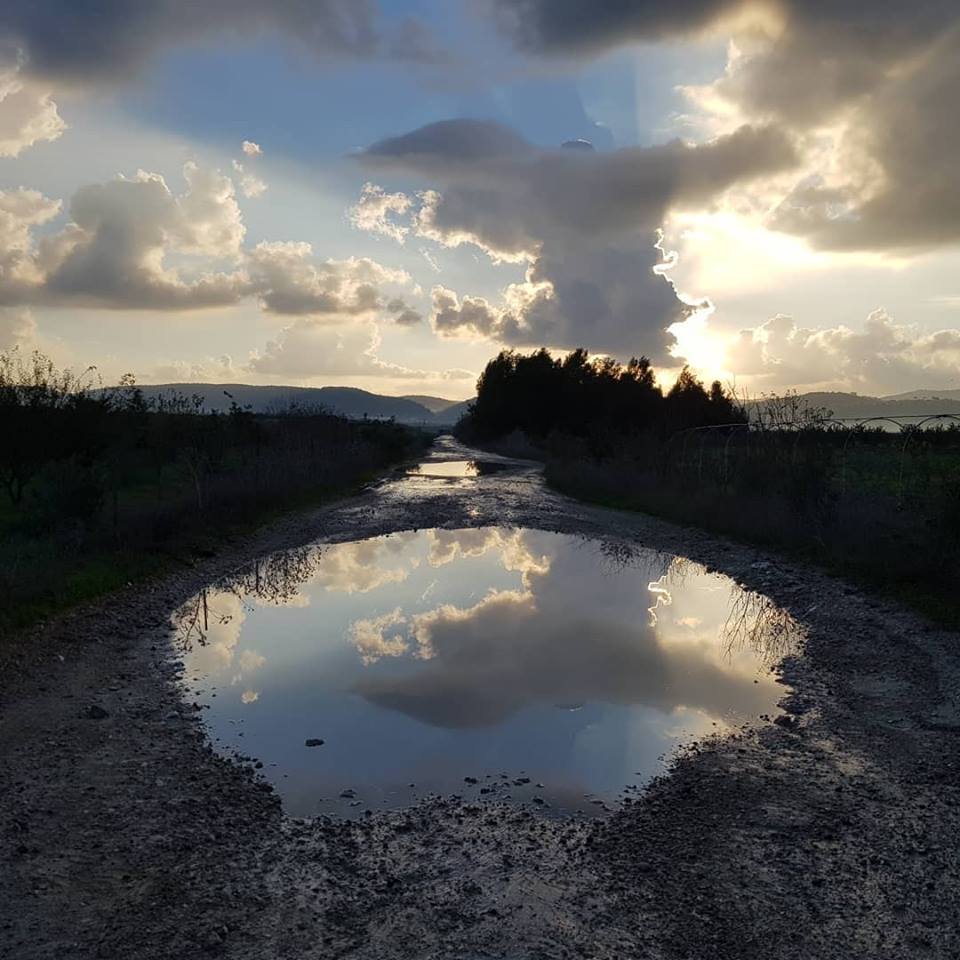 48390426_10213962972694451_3095472617734275072_n