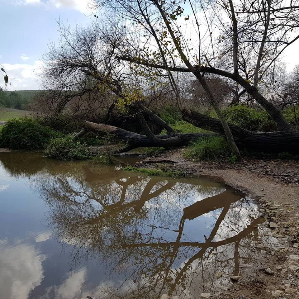 48429800_10214010714567968_4277510289756258304_n