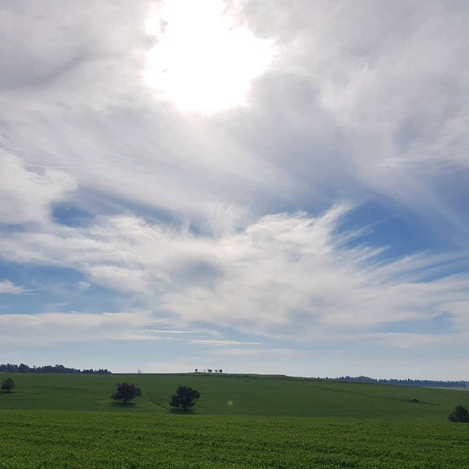 50003243_10214153795344898_7901429863909687296_n