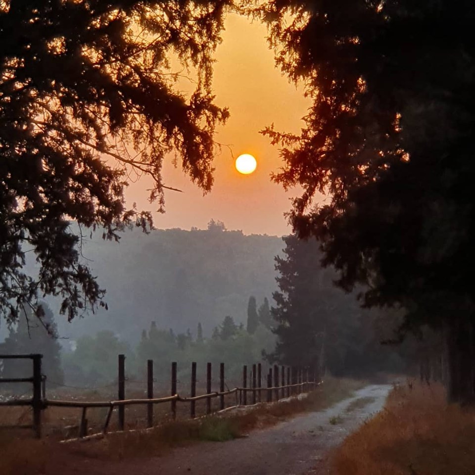 66391172_10215310870631057_5193841987559620608_n