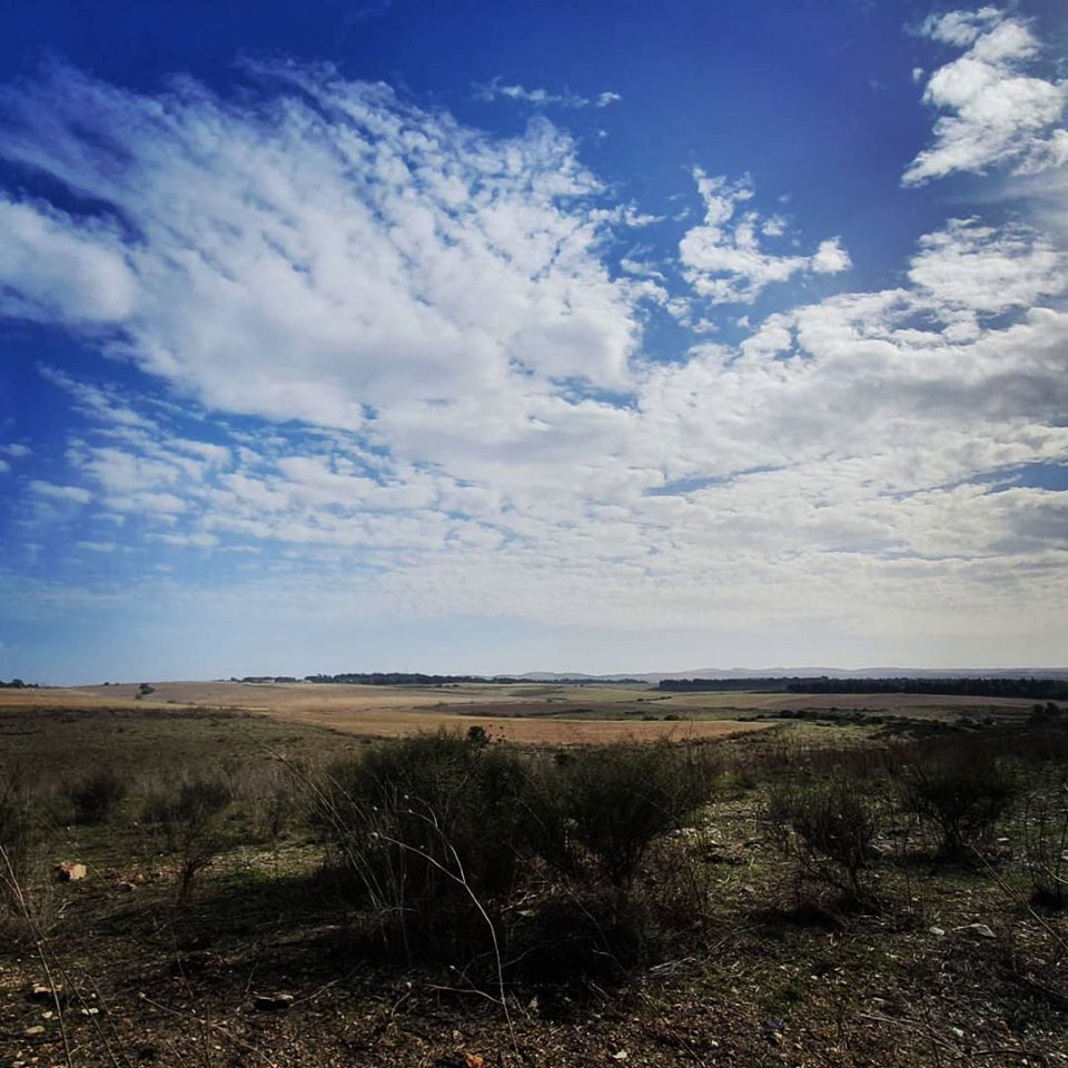 77020008_10216473372852886_6786247042931884032_o