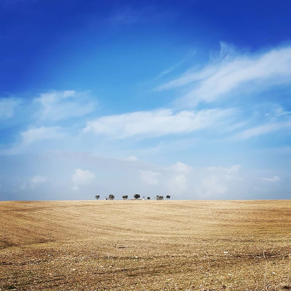 80004997_10216473373332898_6551078419331809280_o