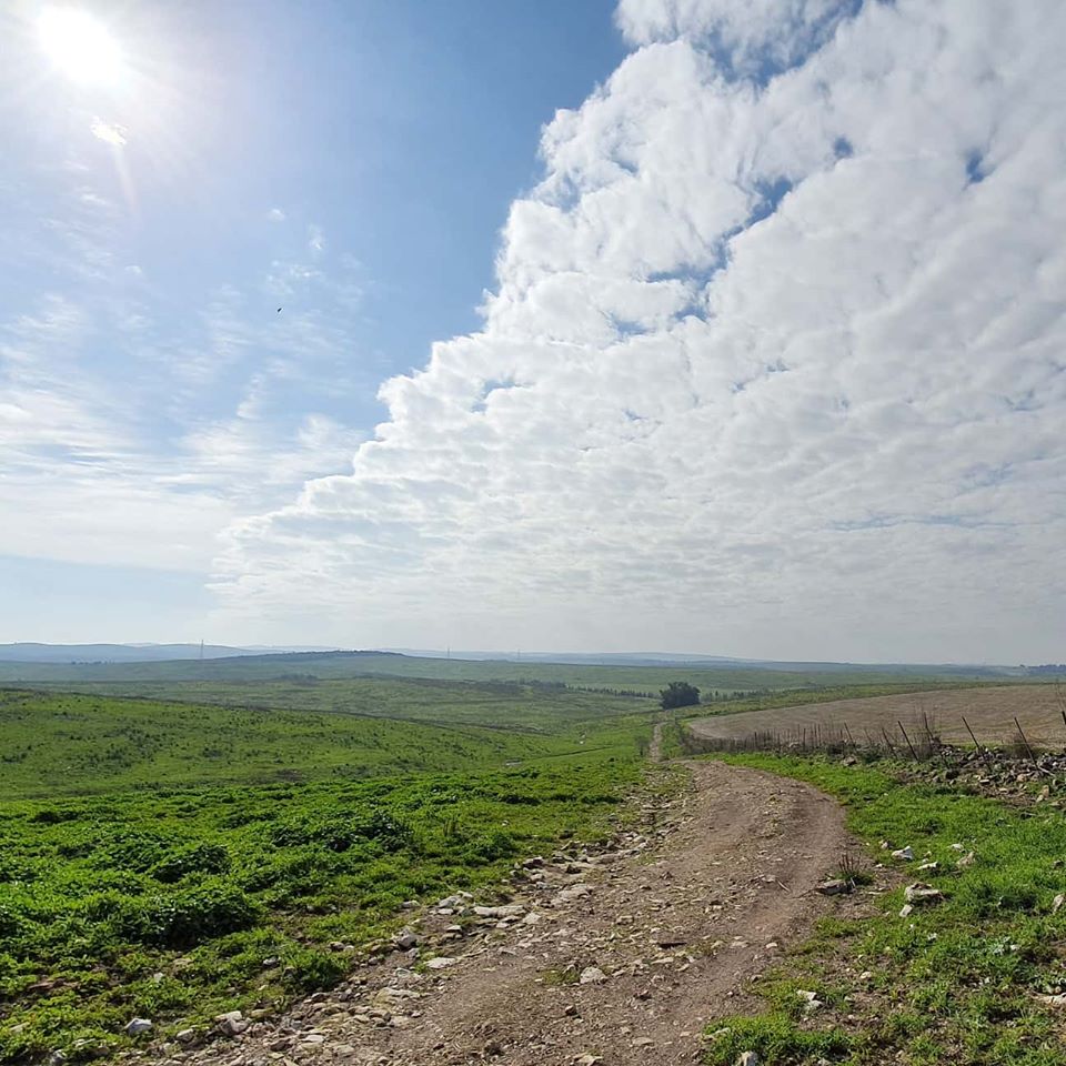 87693359_10217046879910204_1798453607431929856_o